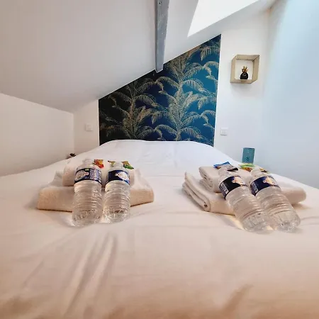 Apartamento 1 Clemence Fouriaux Proche Gare Et Climatise *