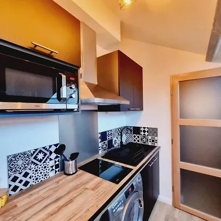 1 Clemence Fouriaux Proche Gare Et Climatise *